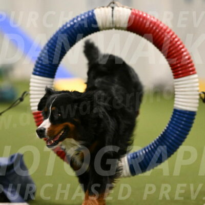 Margo-Julia-Airgood-09522