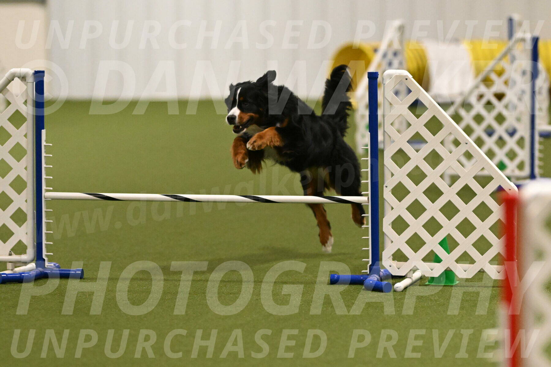 Margo-Julia-Airgood-09523