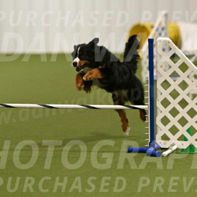 Margo-Julia-Airgood-09523