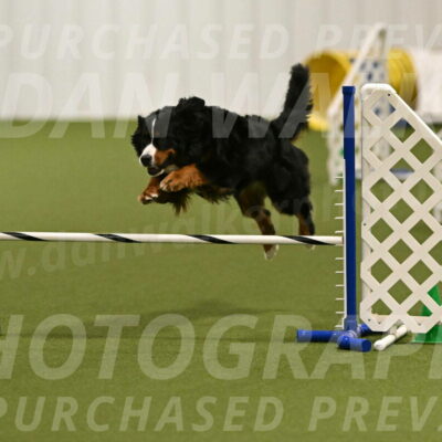 Margo-Julia-Airgood-09524