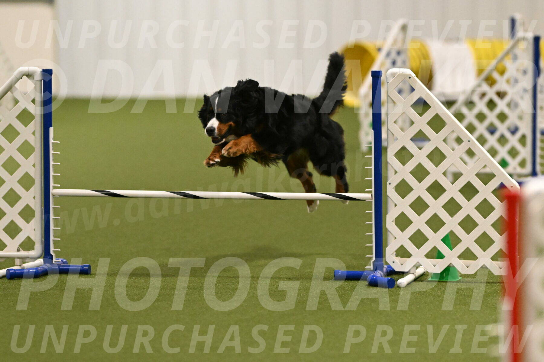 Margo-Julia-Airgood-09524