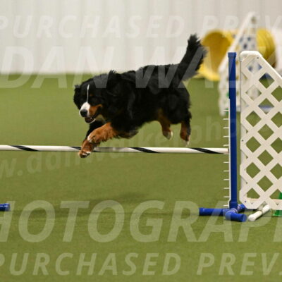 Margo-Julia-Airgood-09525