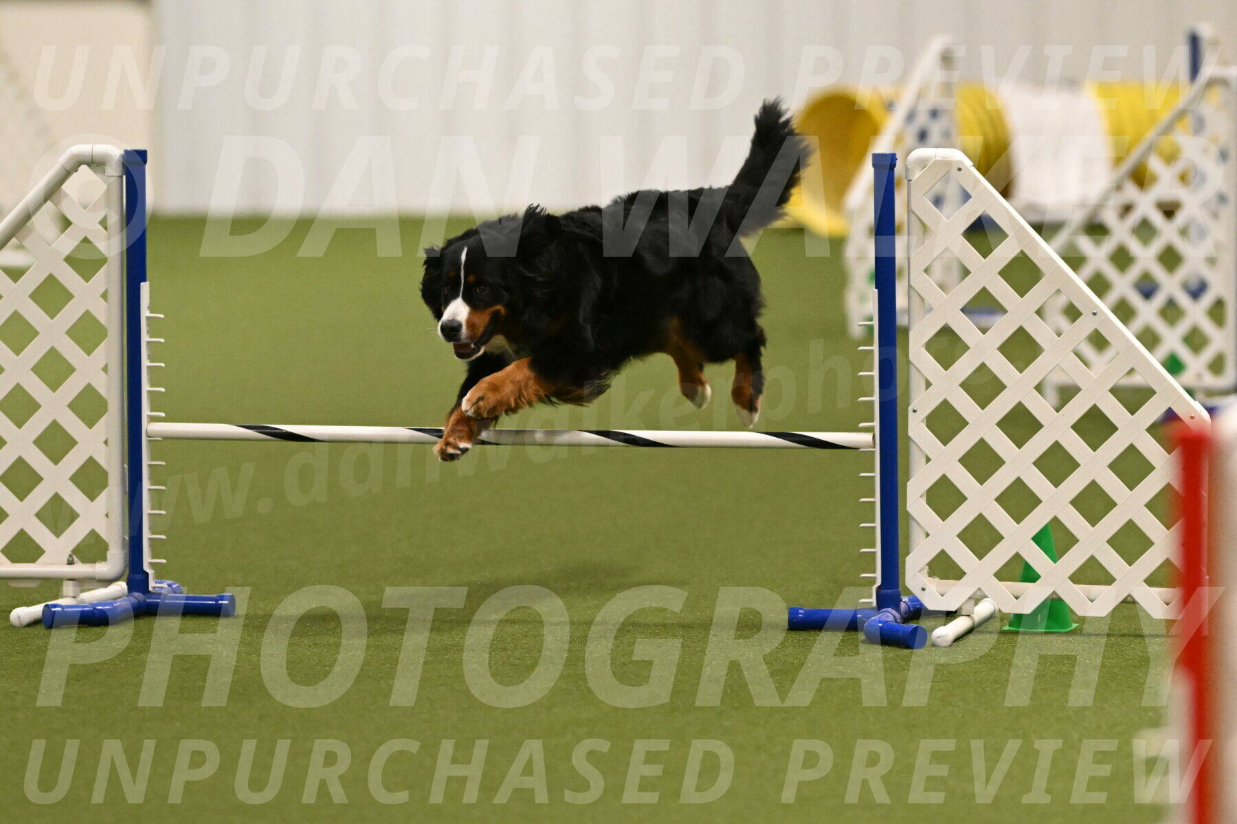 Margo-Julia-Airgood-09525