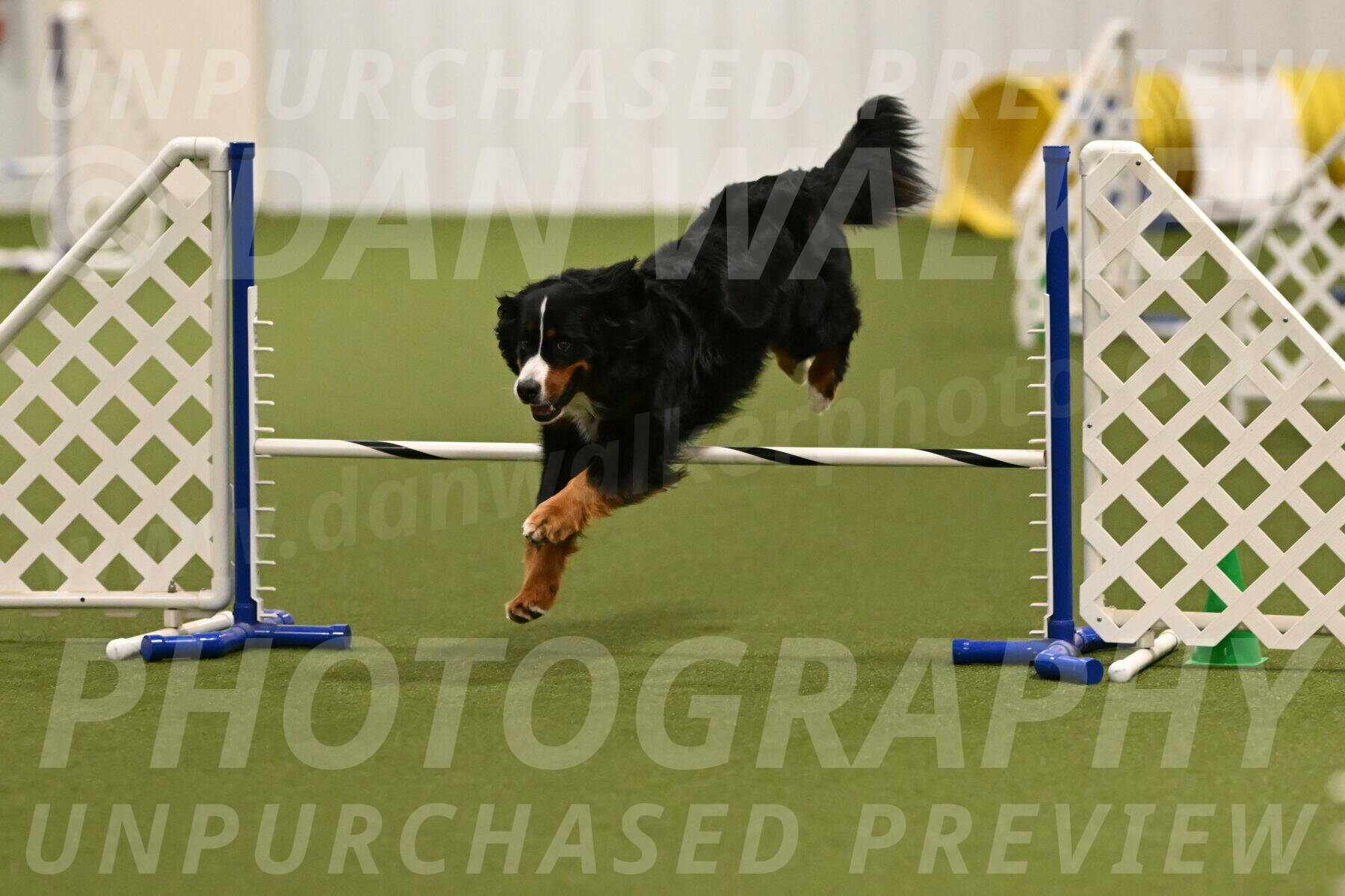 Margo-Julia-Airgood-09526