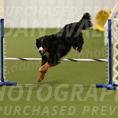 Margo-Julia-Airgood-09526