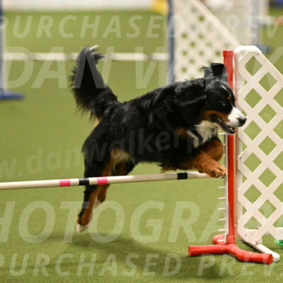 Margo-Julia-Airgood-09527