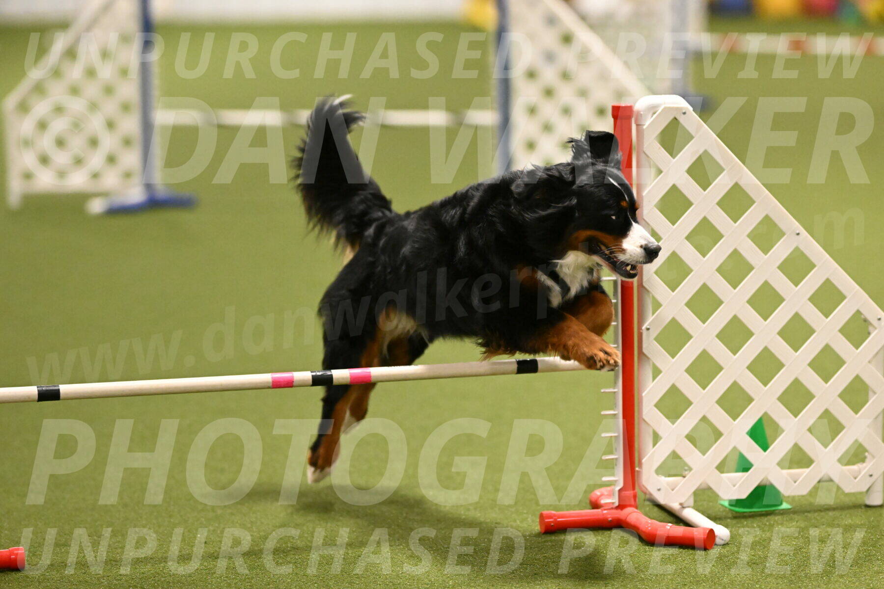 Margo-Julia-Airgood-09527