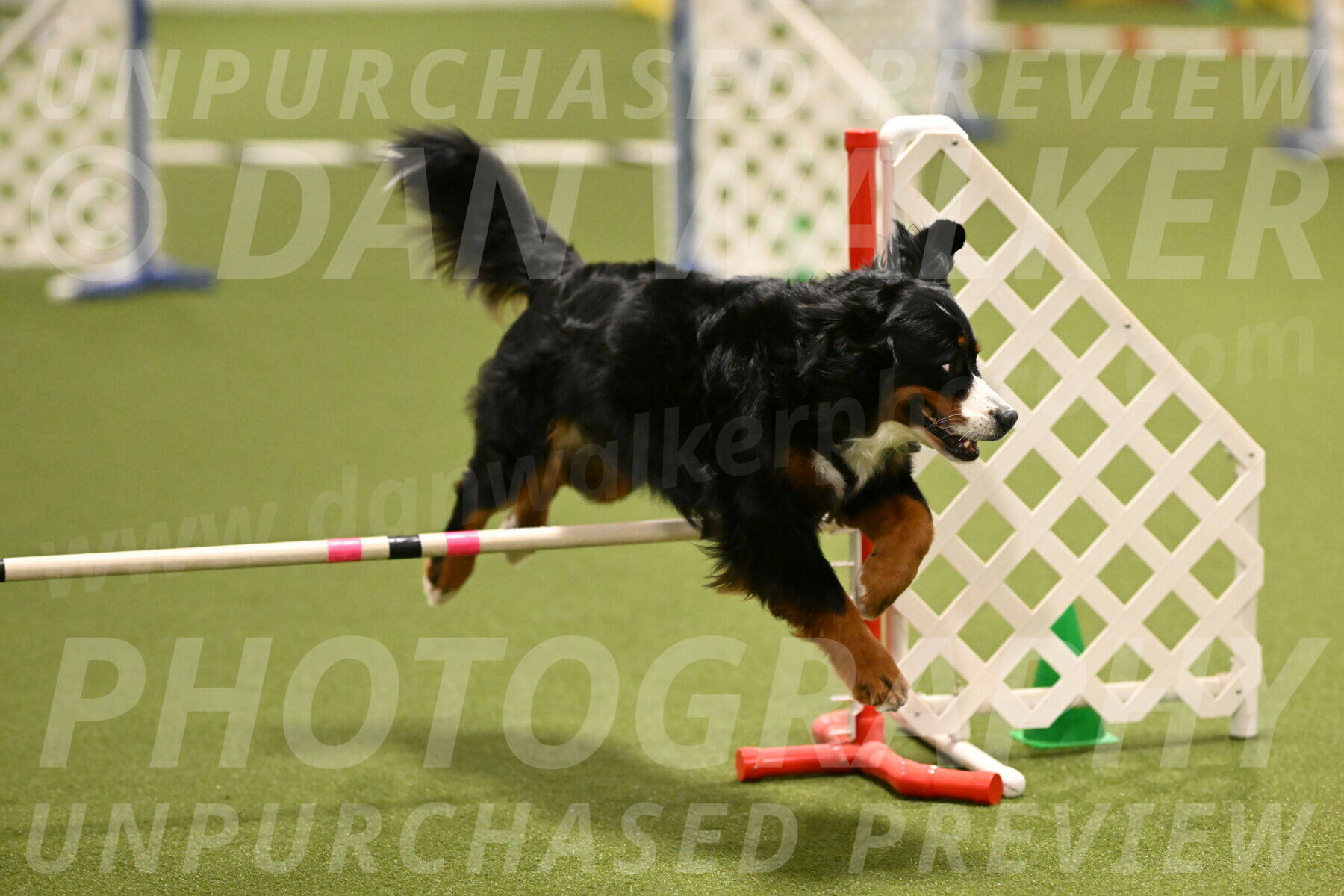 Margo-Julia-Airgood-09528