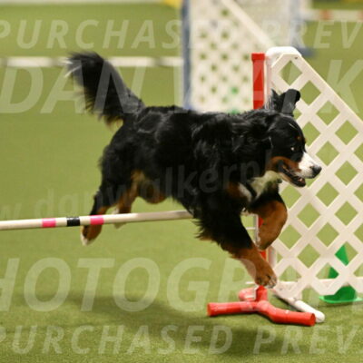 Margo-Julia-Airgood-09528