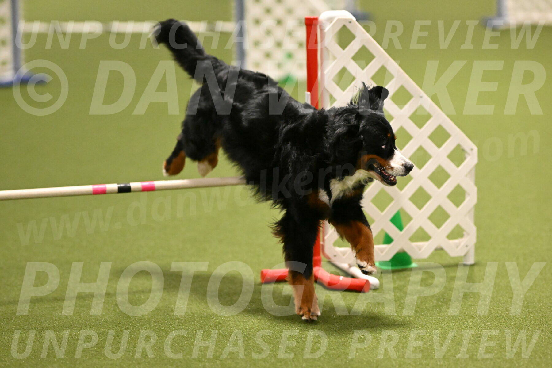 Margo-Julia-Airgood-09529