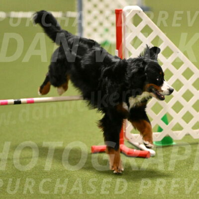 Margo-Julia-Airgood-09529