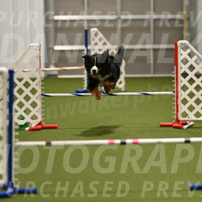 Margo-Julia-Airgood-09530