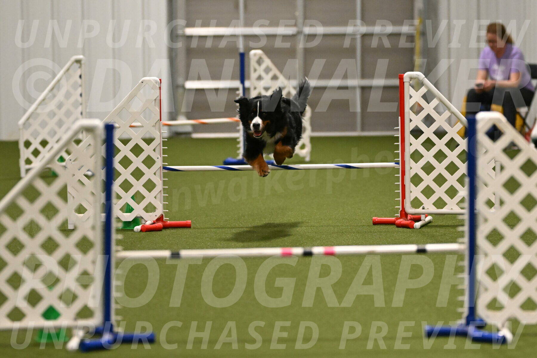 Margo-Julia-Airgood-09530