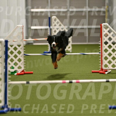 Margo-Julia-Airgood-09531