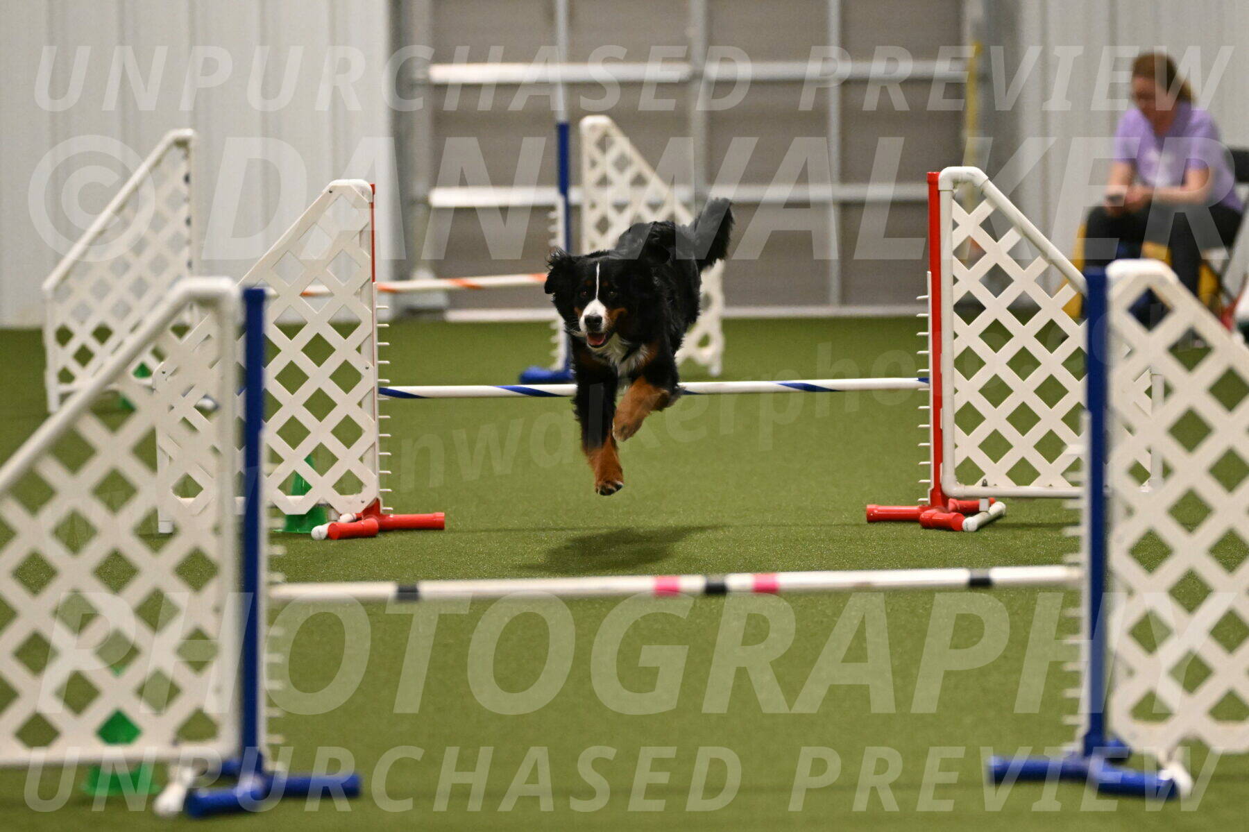 Margo-Julia-Airgood-09531