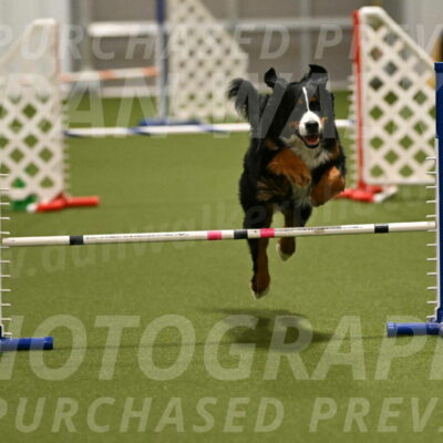 Margo-Julia-Airgood-09532