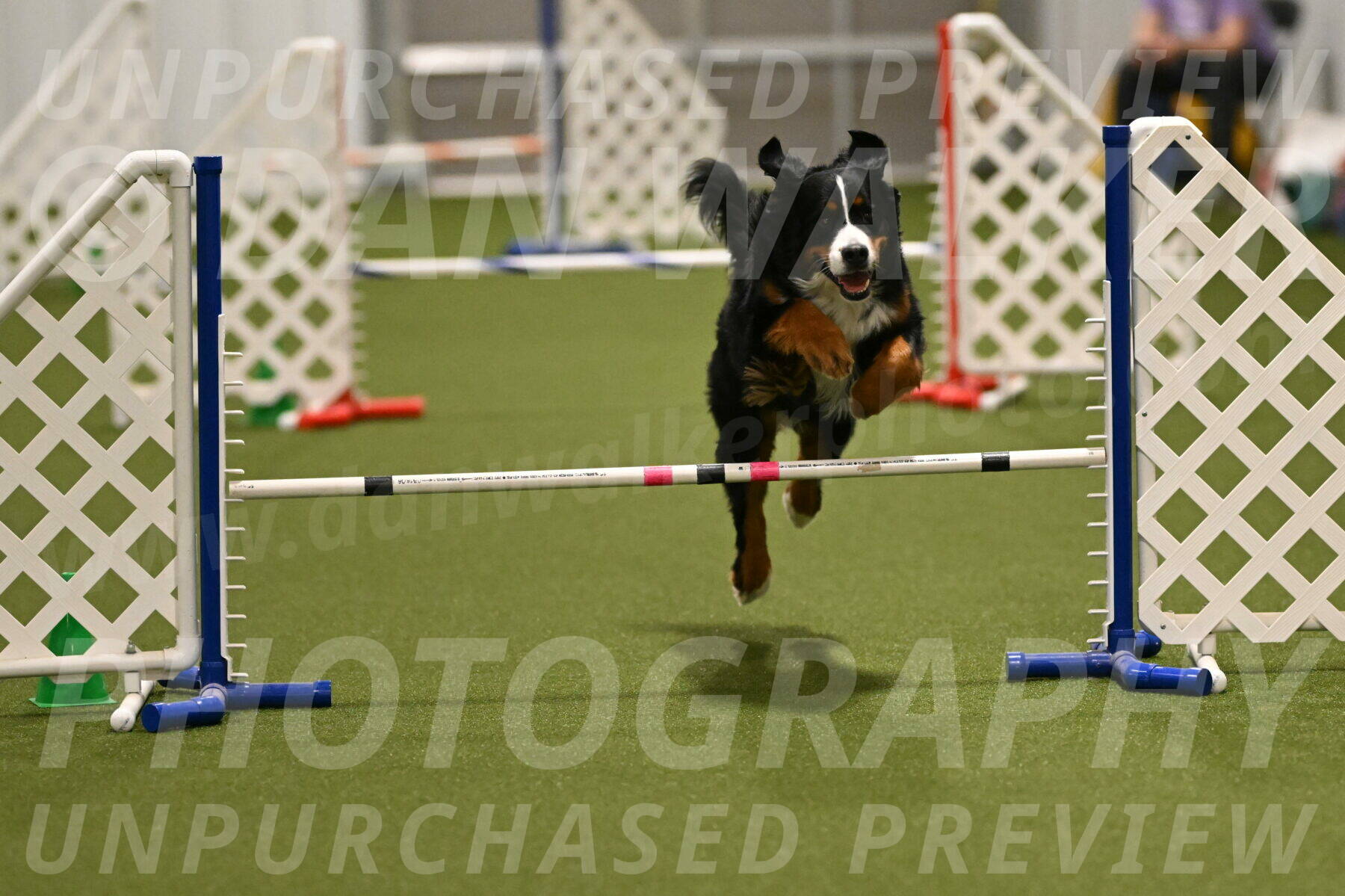 Margo-Julia-Airgood-09532