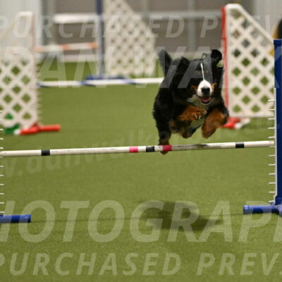 Margo-Julia-Airgood-09533