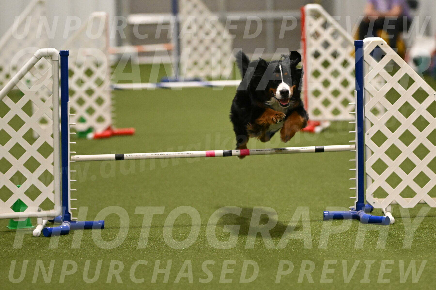 Margo-Julia-Airgood-09533