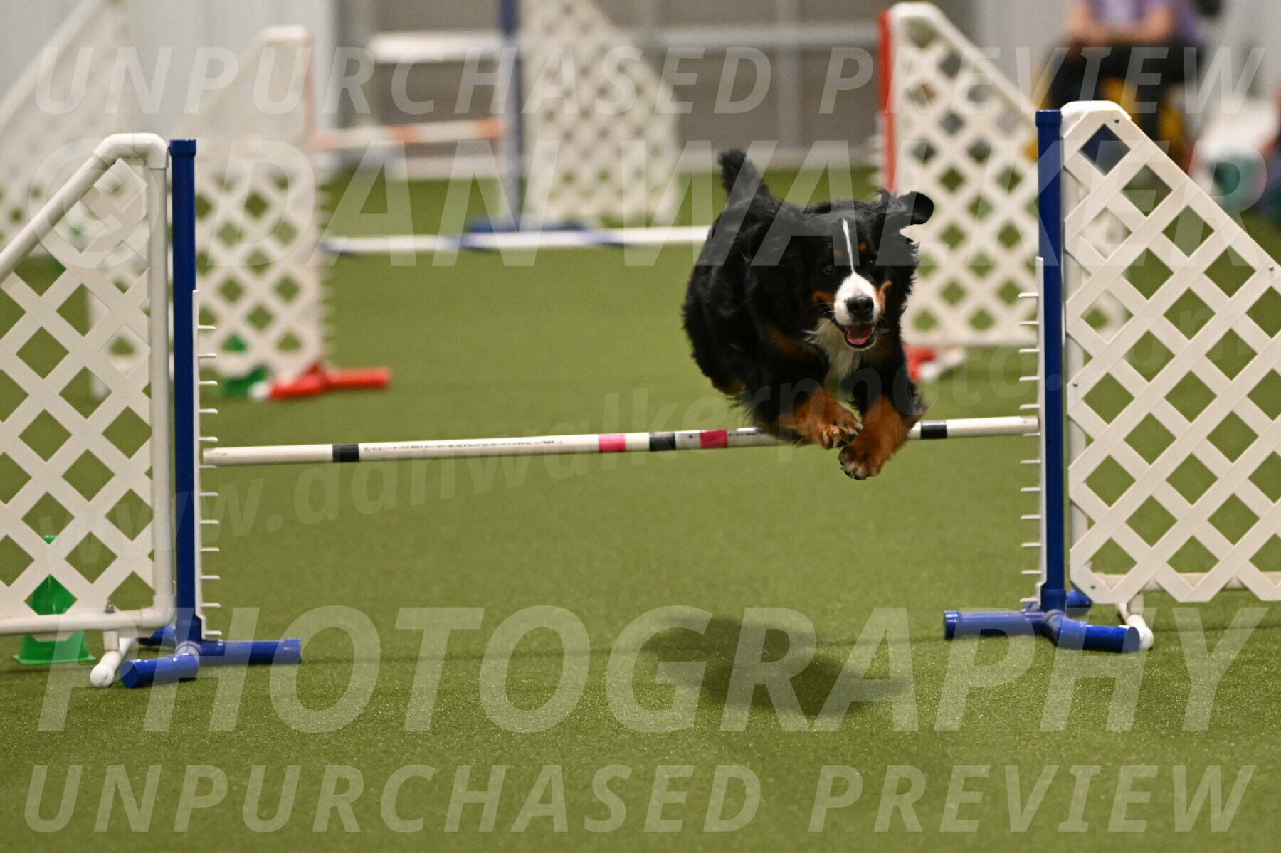 Margo-Julia-Airgood-09534