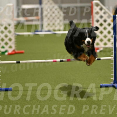 Margo-Julia-Airgood-09534