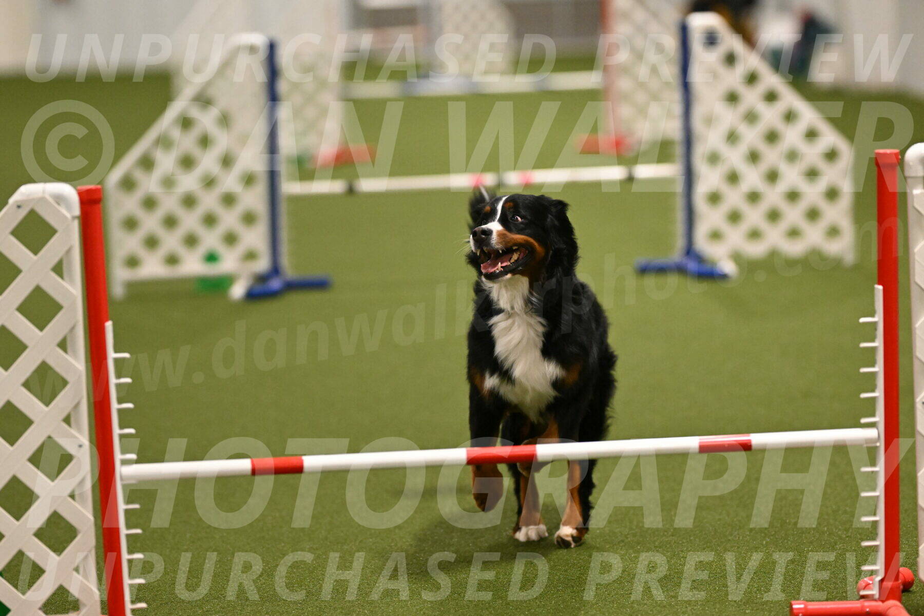 Margo-Julia-Airgood-09535