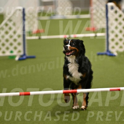 Margo-Julia-Airgood-09535