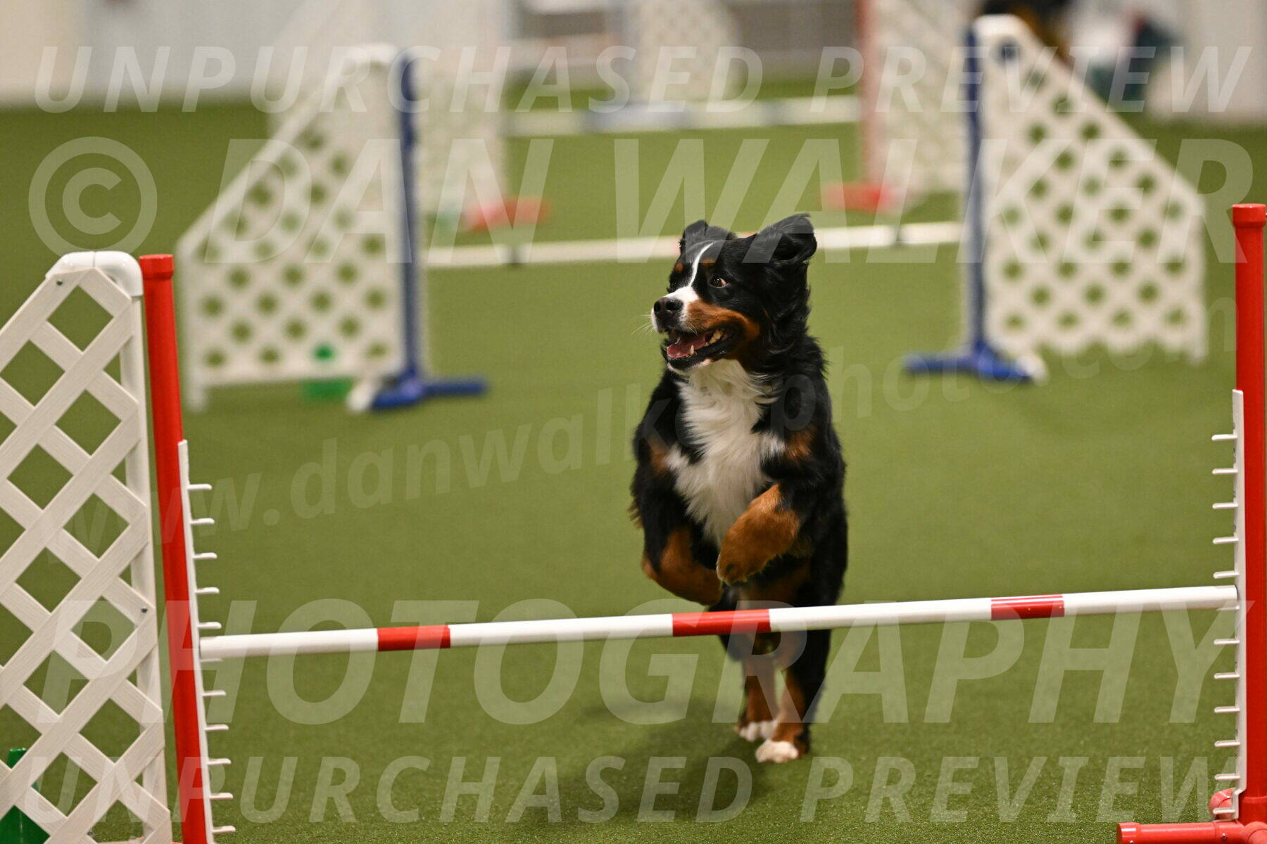 Margo-Julia-Airgood-09536