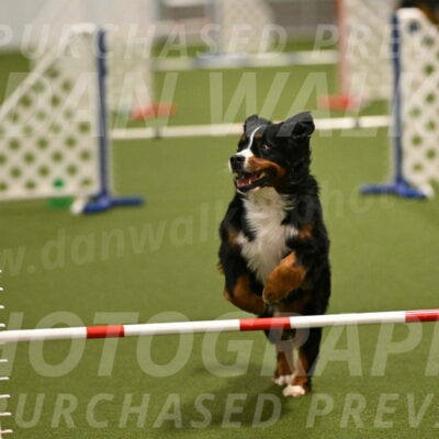 Margo-Julia-Airgood-09536