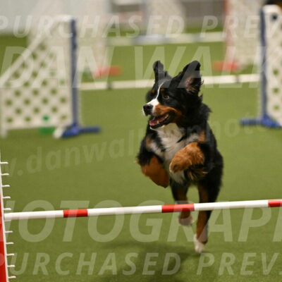 Margo-Julia-Airgood-09537