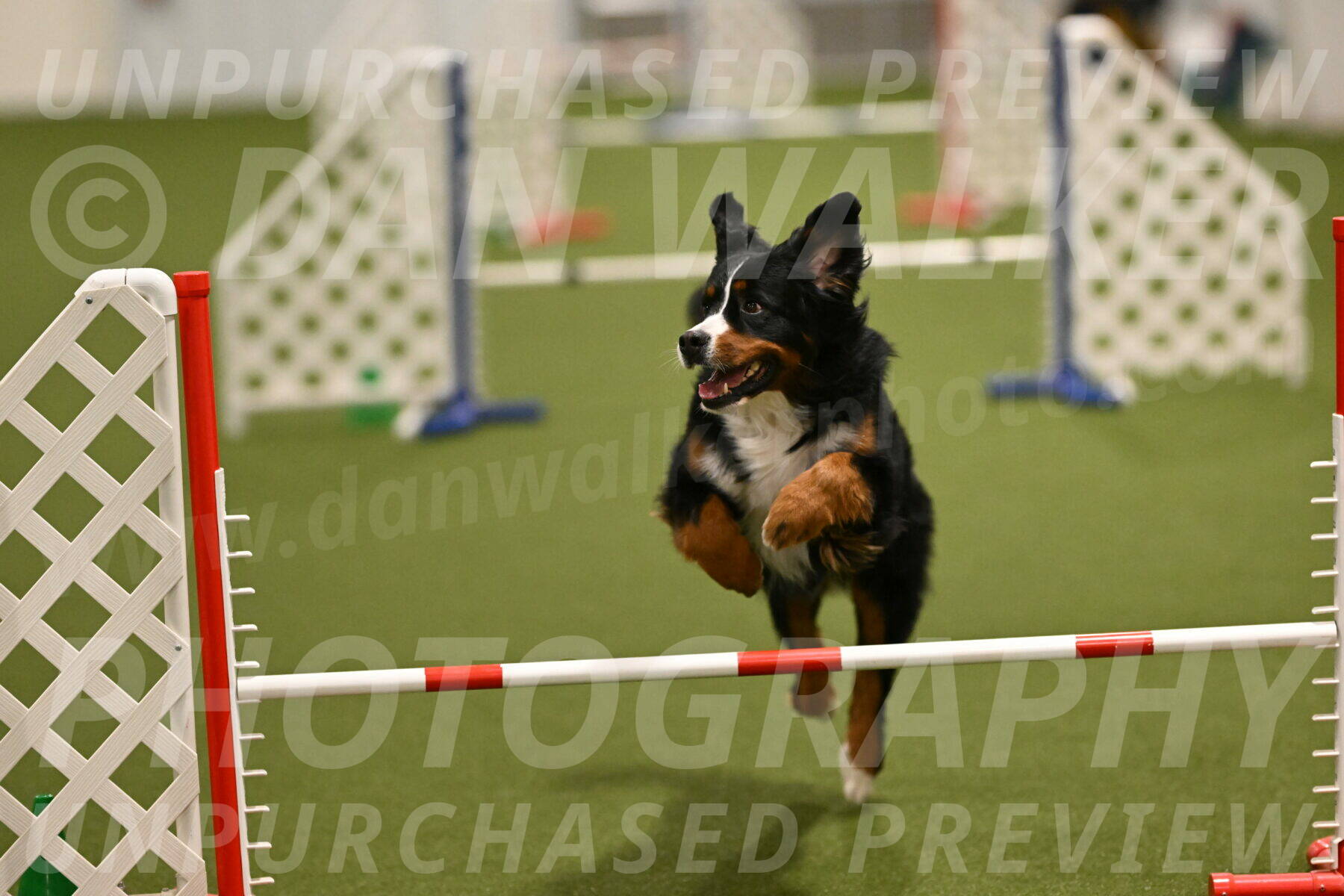 Margo-Julia-Airgood-09537