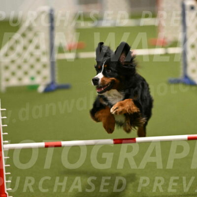 Margo-Julia-Airgood-09538