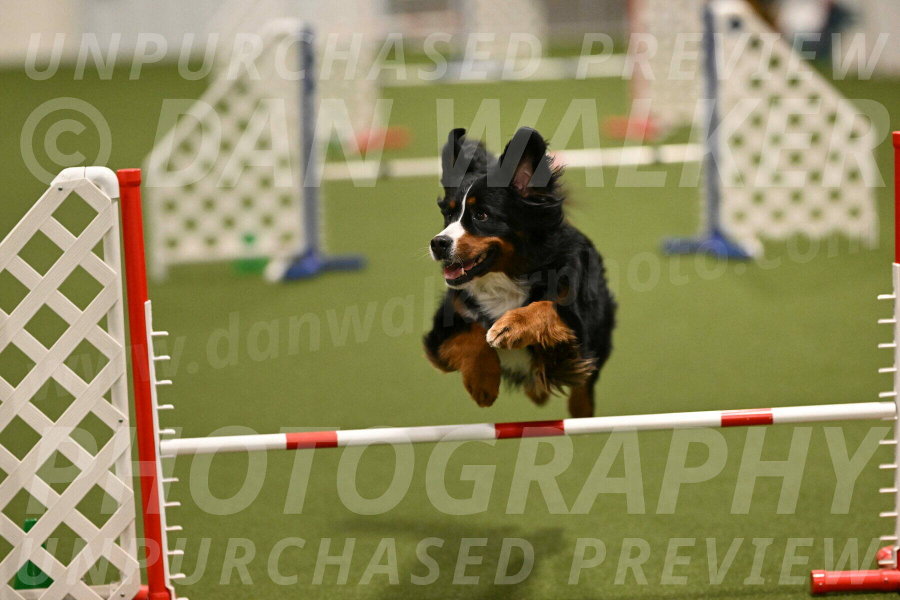 Margo-Julia-Airgood-09538