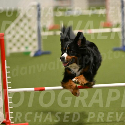 Margo-Julia-Airgood-09539