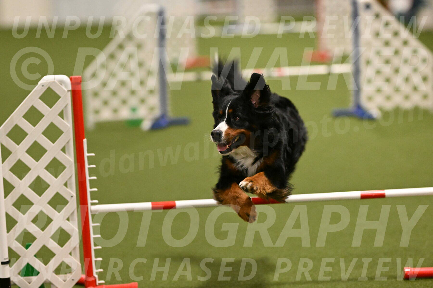 Margo-Julia-Airgood-09539