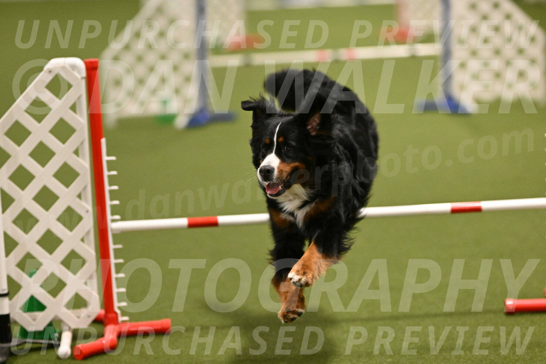 Margo-Julia-Airgood-09540