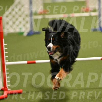 Margo-Julia-Airgood-09540