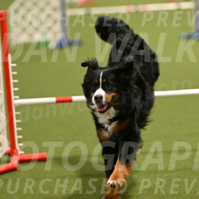 Margo-Julia-Airgood-09541