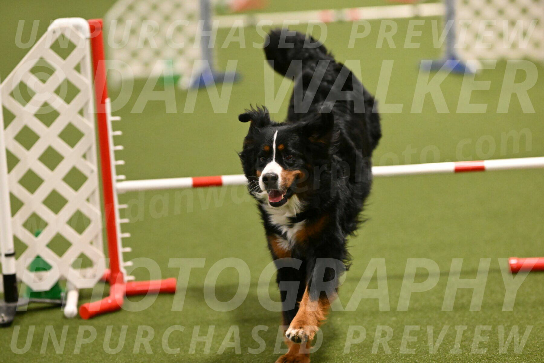 Margo-Julia-Airgood-09541