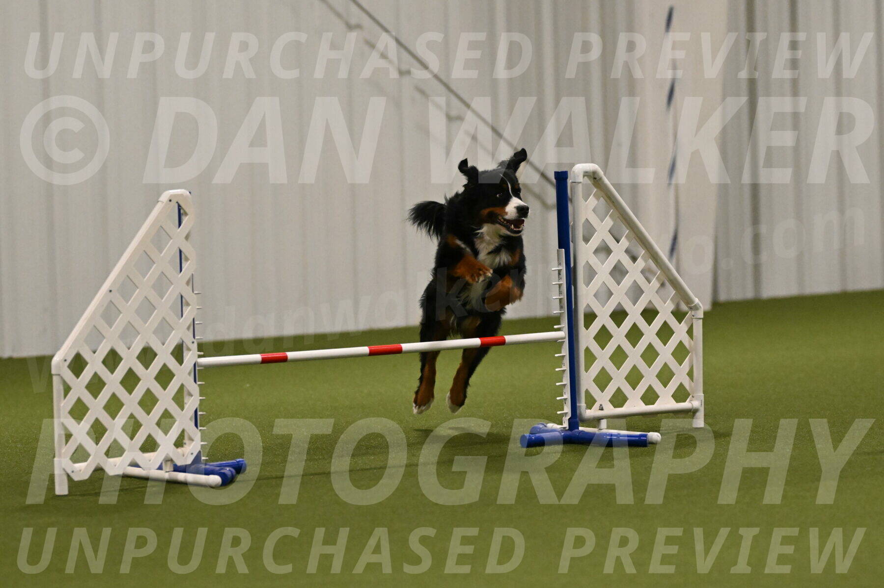 Margo-Julia-Airgood-09544