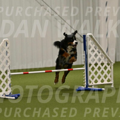 Margo-Julia-Airgood-09544