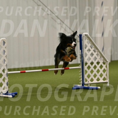 Margo-Julia-Airgood-09545