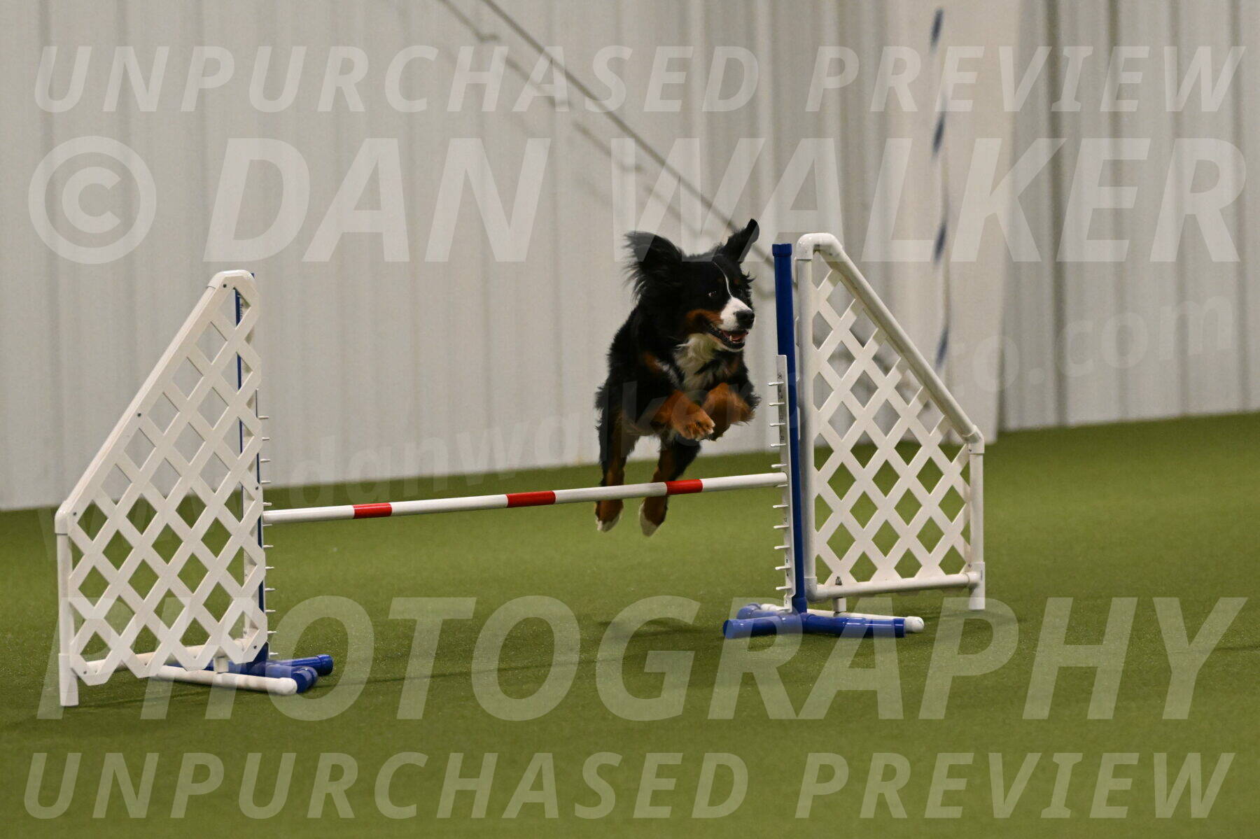 Margo-Julia-Airgood-09545