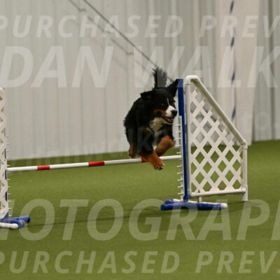 Margo-Julia-Airgood-09546