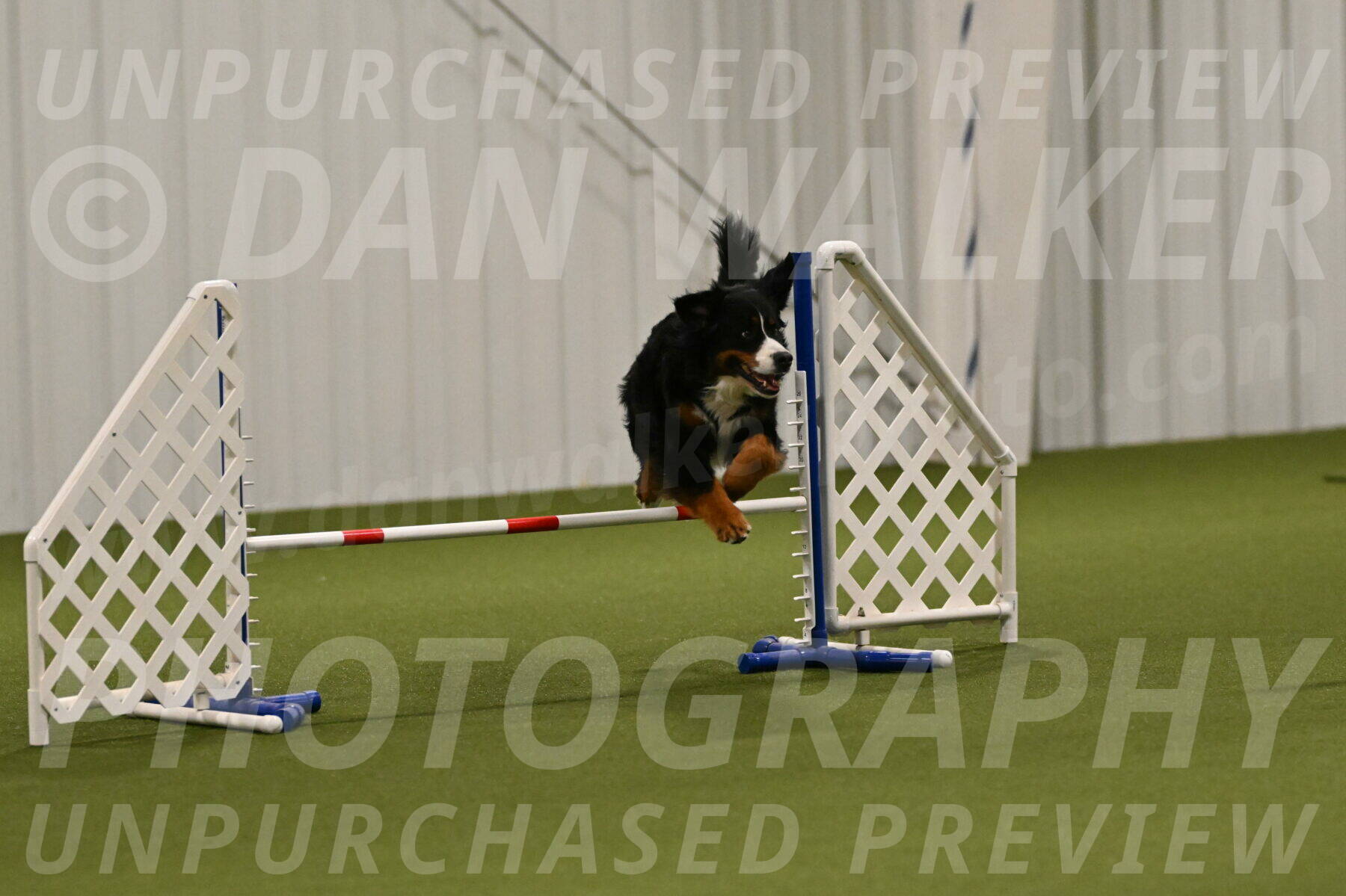 Margo-Julia-Airgood-09546