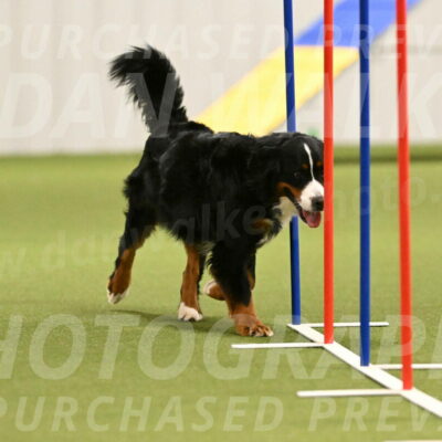 Margo-Julia-Airgood-09547