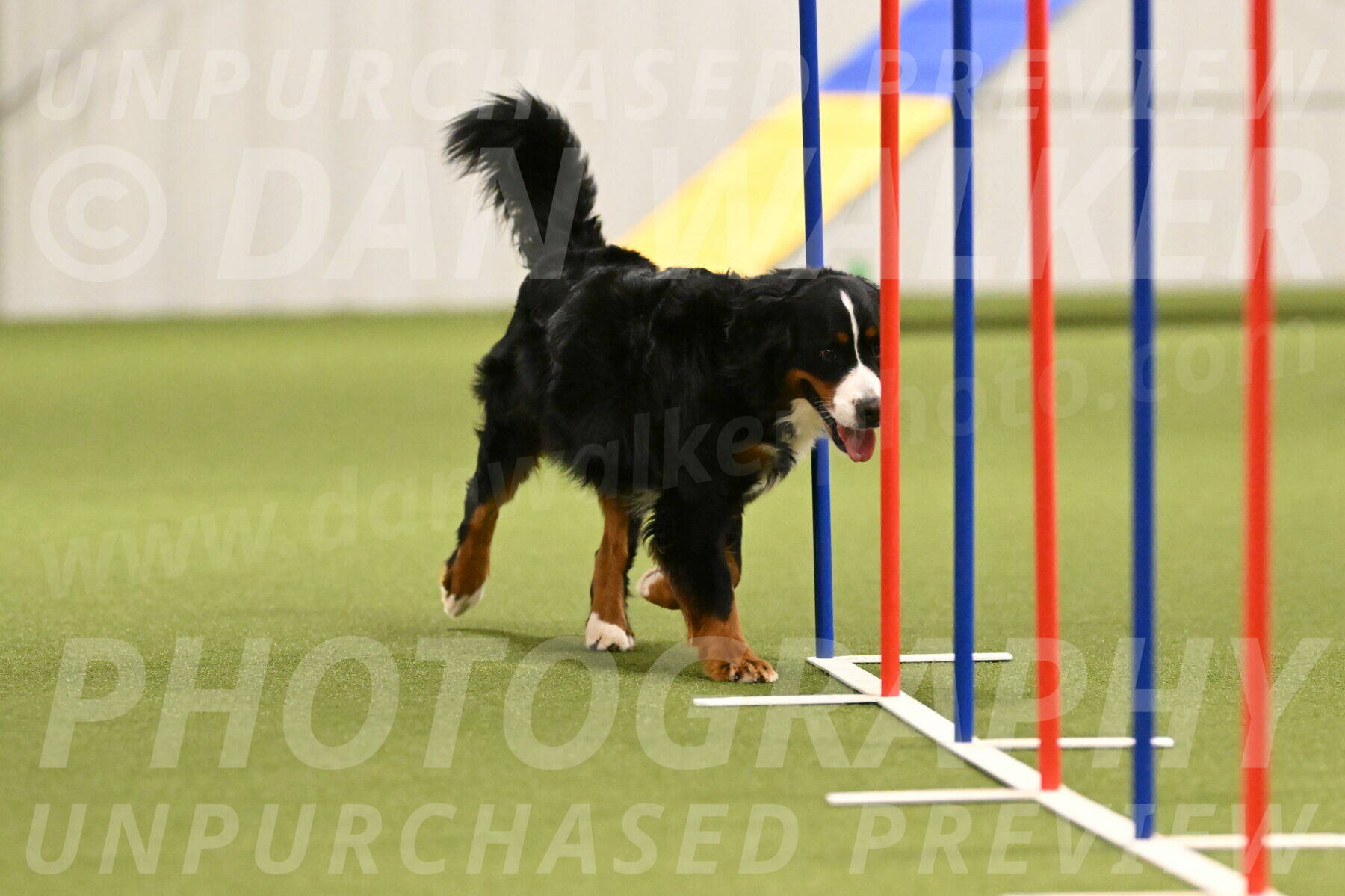 Margo-Julia-Airgood-09547