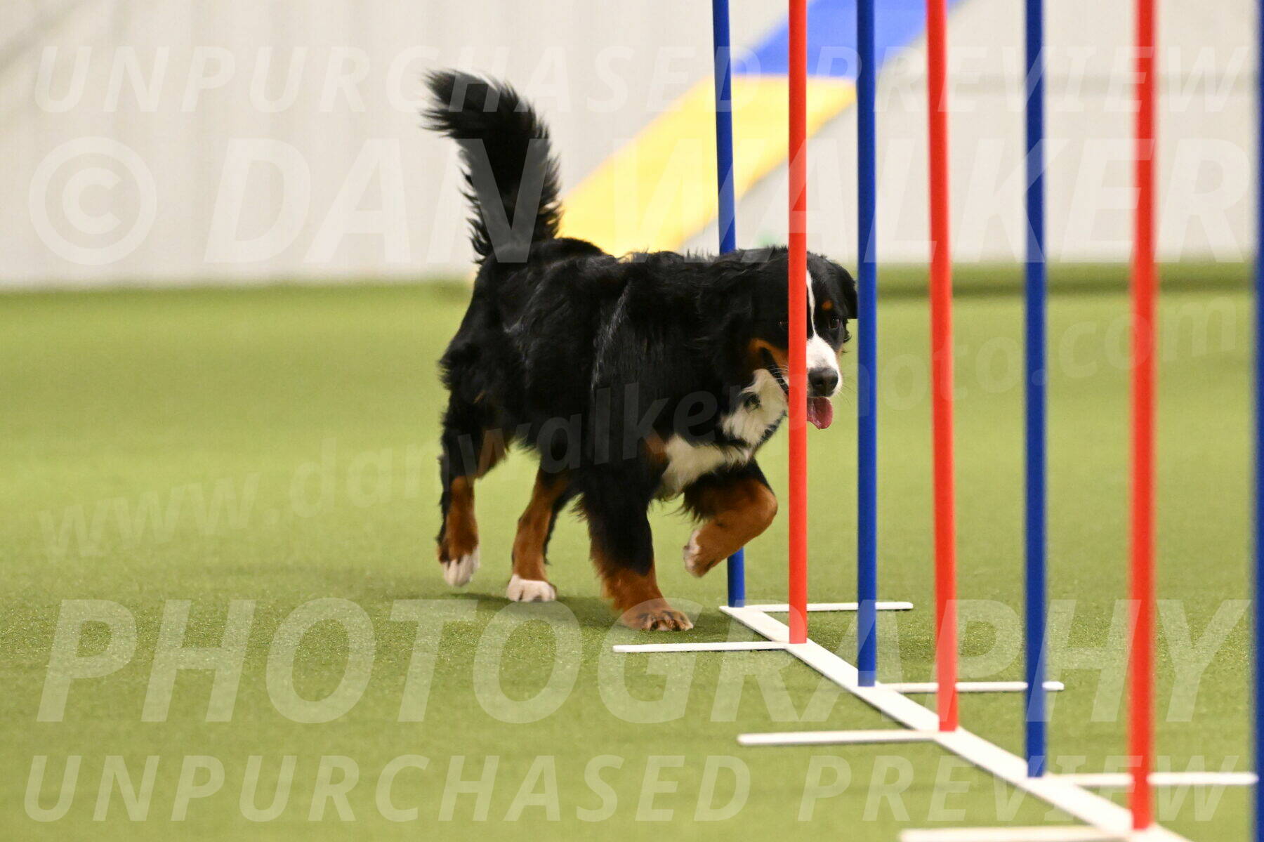 Margo-Julia-Airgood-09548