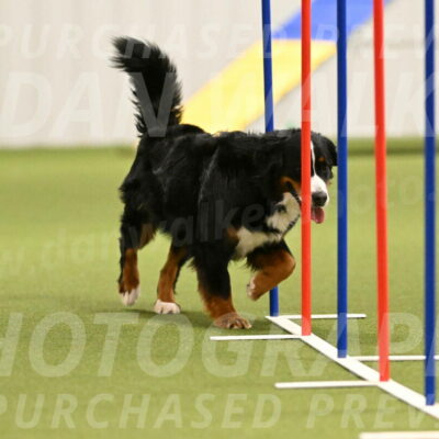 Margo-Julia-Airgood-09548