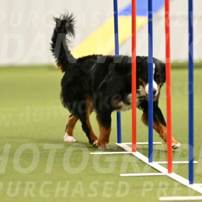 Margo-Julia-Airgood-09549